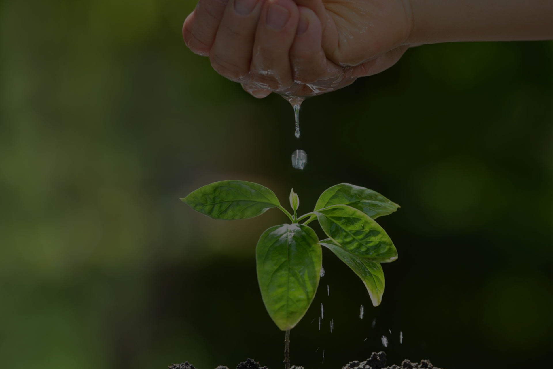 reflexologie detente water